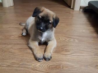      2-3 ,       ,     1 ,   ,  