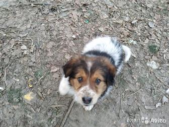     ,   2 ,   ,    ,     ,  , ,   