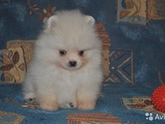         (   )     ,   4, 10, 2019, ,   ,   