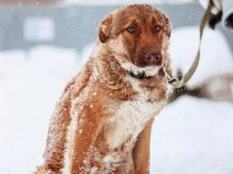 ,  ! -, ,       ,  ,         !,,  ,    