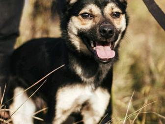 , , ,     ,   ,   , ,      ,           