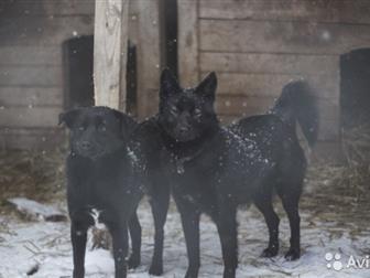    ))      )      ,   2   6 , , , ,  