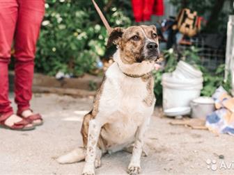 , , ,  ,   -      !  ,  ,     ,  