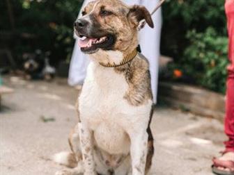 , , ,  ,   -      !  ,  ,     ,  