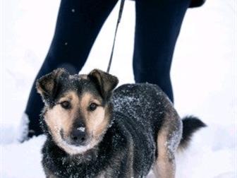 ,  !    ,  ,   ,      -      !     