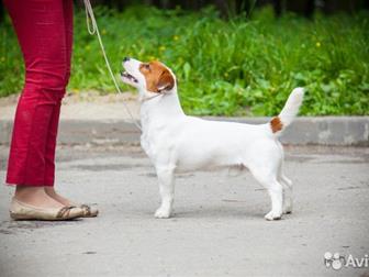       , ,    (FCI);    ,  -     