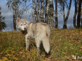  ,   ,  9  ,   ,       ,     !  