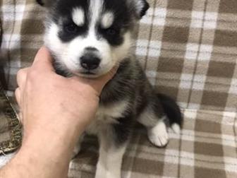  ()              , 08, 10, 19,     