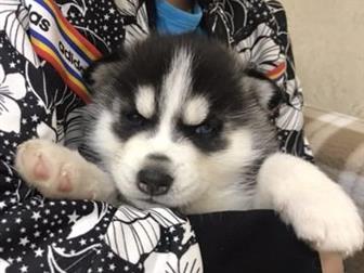  ()              , 08, 10, 19,     