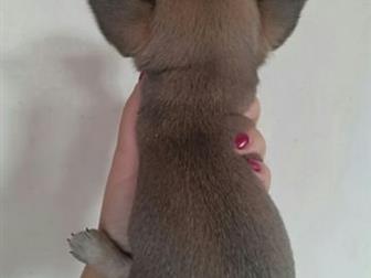 - ,   ,    , ,  -,    ,     ,     :    