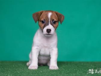        1, 5 ;   100%       10 , ,  ,    