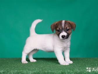        1, 5 ;   100%       10 , ,  ,    