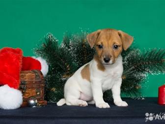        1, 5 ;   100%       10 , ,  ,    