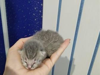    , ,  27, 10, 2019,   ,  