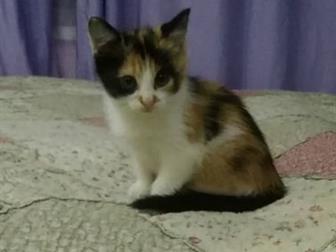       ,   2 ,   ,     ,      ,   ,        