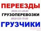   ,      , 8928-121-49-80, 8918-525-75-00 32548876  --