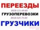    ,       , 8928-121-49-80, 8918- 525-75-00, 33892619  --
