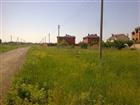 foto      34519018  --