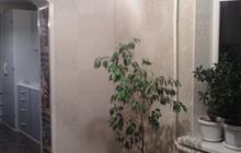 ���� �������