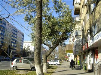   foto   18 , ,   /    32423428  --