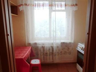 �������� ����������� ������ ����� ���� 1-��, �����, ��, ����������, ��, ����������, ��� ���� 33569107 � �������-��-����