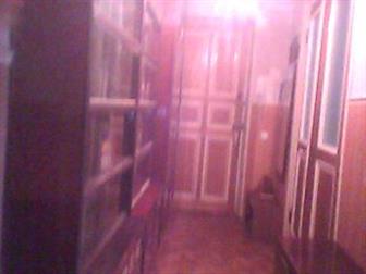 ����������� ���� ������ ����� ���� ������� 33689103 � �������-��-����