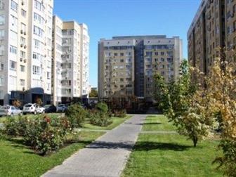 ������ ���������� ������ ����� ���� 1-��, A�e�ca��po��a, ��, ������� ���, ��, �epecae�a 33804443 � �������-��-����