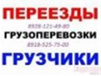    ,       , 8928-121-49-80, 8918- 525-75-00, 33892619  --