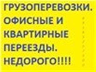  ,    , 89281214980, 89185257500 33977416  --