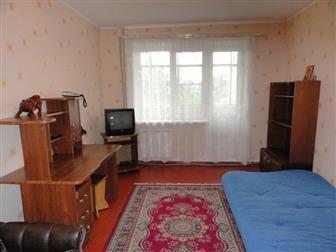 ����� foto  ���� 2�, ��, ��� 34235733 � �������-��-����