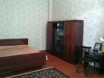      3-,  ,  , ,  34513699  --