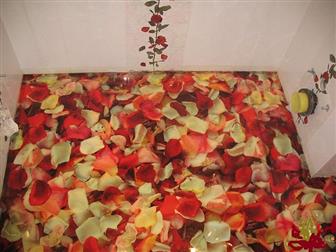   ,    3D  34657101  --