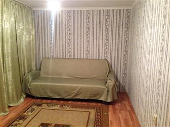 ����������� �����������  1�� � ������, ���� ��������, ������ �� ����� ���������, 35265314 � �������-��-����