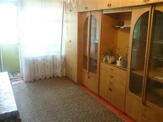     59, ,    ,  ,     (  ),   ,   ,  --