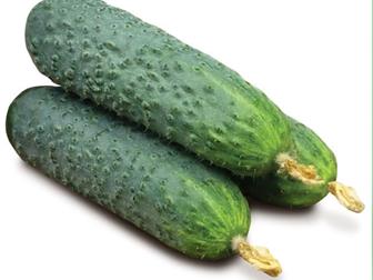      KS 90 F1   36626743  --