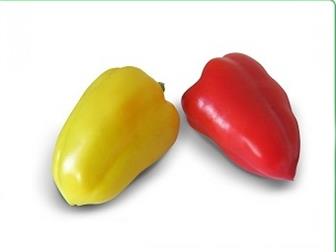  foto      F1   36626760  --