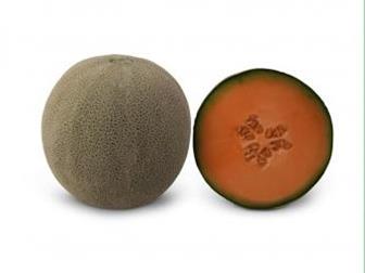      KS 7084 F1   36626826  --