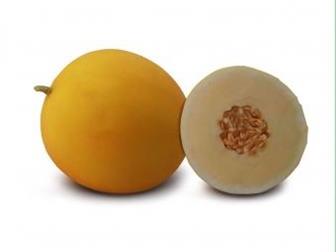      KS 7066 F1   36626855  --