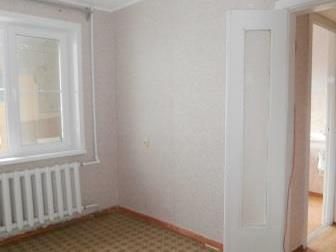 �������� ����������� ������ ����� ���� 1-����, ���, ������, ��-�� ����������� 36666395 � �������-��-����