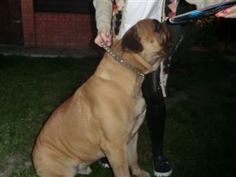 ���������� ���� � �������-��-����