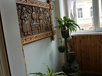 ������� �����������  ���� 2 �, ��, ����� ���, ������� ����� 2/10����, 60�, ������, ��� ������, ������� ������� ���� 25�, �, 36931202 � �������-��-����