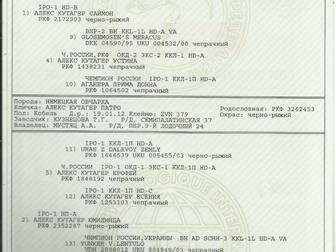 ���� � �������-��-����