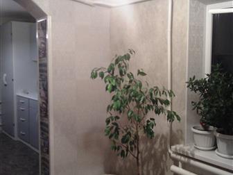 �������� ����  ���� ������� 37670894 � �������-��-����