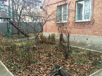 ������� foto  C�a� �o� �e�e��o�opo���� pa�o�, ��, Ma�o��a, ��, �eco�ap�o�a�_ 37804355 � �������-��-����