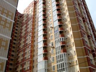 ����������� ����������� ������ ����� C�a� 2-��, �e��p, ��, Me����o�a, p-� �a�o�a �e��pa_ _ _ 38850553 � �������-��-����