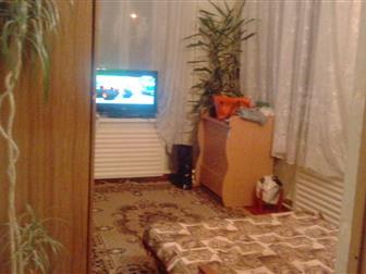         , /31 ,  ,  , ,  ,    --