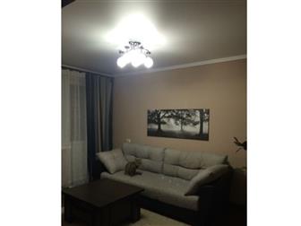      31 , , ,   ,    :  ,    ,   --