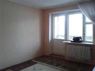 3-     ,  2008 ,  ,     : - ,   / -  ,    --