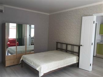 ������� 1/2 ���� (2 �������) � ������ ������������ �����������,  � ���� ���������� ����������� ������ (2017 �, ),   ����� ����������, ����� �����, ����� ������������������ � �������-��-����