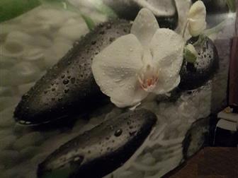      ,    ,     4-  ,    ,     ,     --